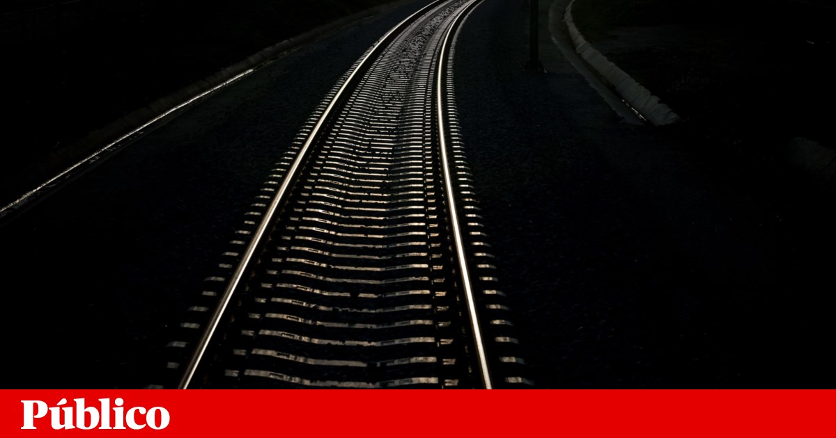 Portugal e Espanha avançam no plano de encurtar viagens de comboio entre as capitais