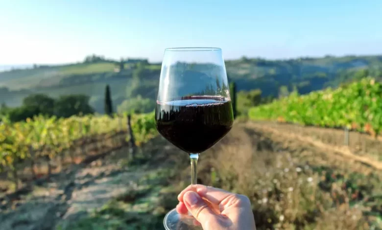Produção de vinho no Algarve com quebra de 10%. Culpa é do tempo