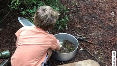 Queremos mais tempo e espaço para brincar na escola