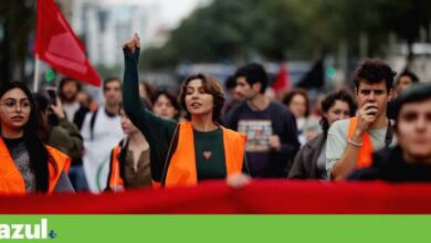 Raparigas têm 2,5 vezes mais probabilidade de sentir ecoansiedade do que os rapazes