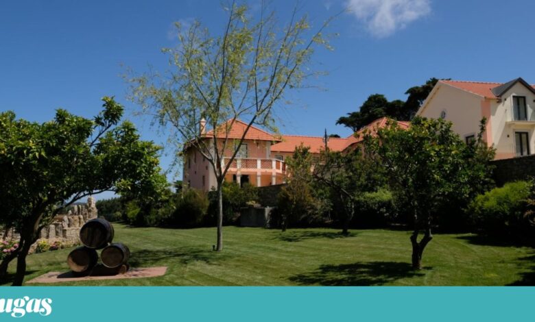 Sintra tem novo hotel: Quinta da Maquia quer ser um “refúgio de charme”
