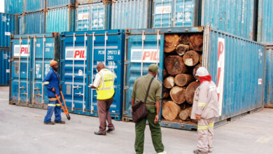 Suspeitos: Mais de 100 contentores de madeira retidos no porto da Beira