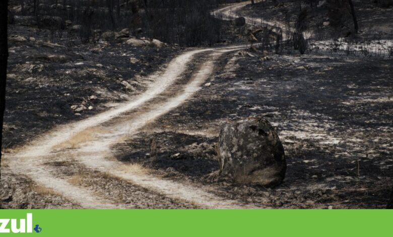 Terra aproxima-se do “caos climático”, mas é possível limitar aquecimento