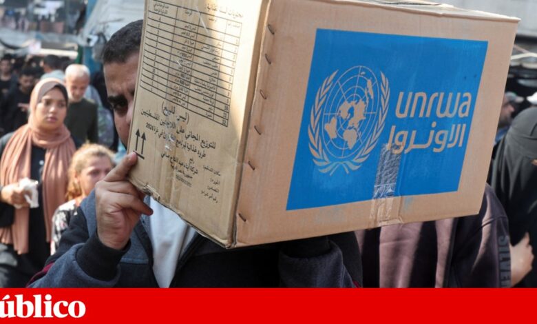 Trabalhadores humanitários na Palestina, jornalistas presos e estudantes sérvios são os finalistas do Prémio Sakharov