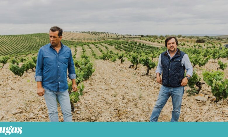 Um grande tinto do mundo, da vinha velha transmontana
