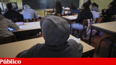 Um quarto dos alunos com pais estrangeiros reprova ou desiste no secundário