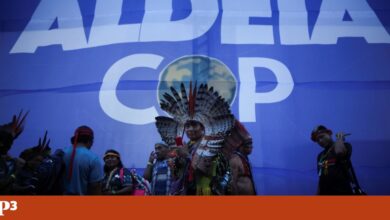 A COP30 não deveria servir carne nas suas refeições oficiais