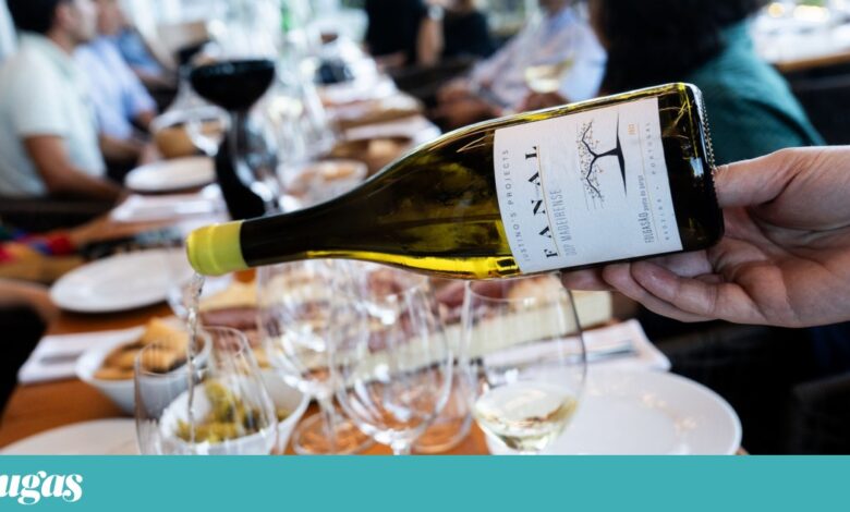 A Madeira tem condições para fazer belíssimos vinhos brancos. E a Justino’s percebeu isso