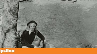 A atenção de Annie Dillard à natureza bela e cruel