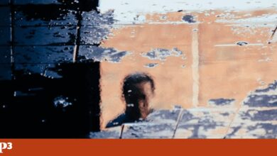 A variável menos falada na ascensão do populismo