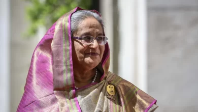 Acompanhamento de grávidas? Ordem dos Médicos critica projeto do governo