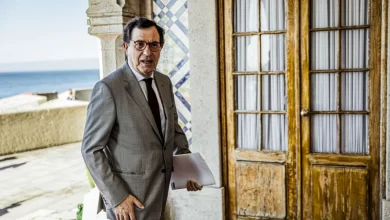 Afonso Henriques foi o "primeiro empreendedor" de Portugal