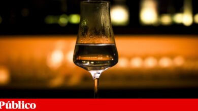 Álcool: portugueses bebem 11,9 litros <em>per capita </em>por ano, o pior resultado da OCDE