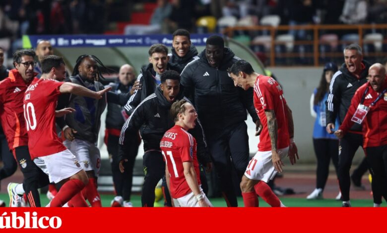Andreas Schjelderup cometeu “erro muito grave”, mas não será punido na selecção