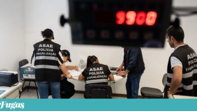 Apreensão de vinhos no Douro faz correr tinta lá fora. Sector pede “reforço” de fiscalização