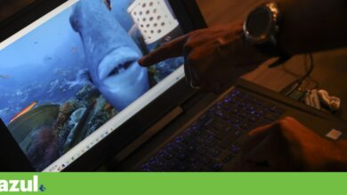 Austrália pode ajudar Portugal a pôr o oceano na agenda das negociações do clima