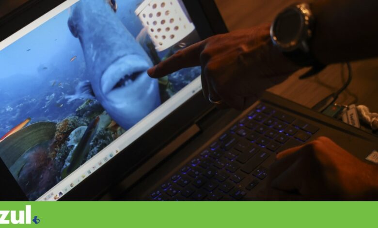 Austrália pode ajudar Portugal a pôr o oceano na agenda das negociações do clima