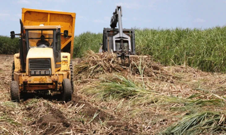 Autoridade Reguladora da Concorrência desmantela “cartel” do açúcar