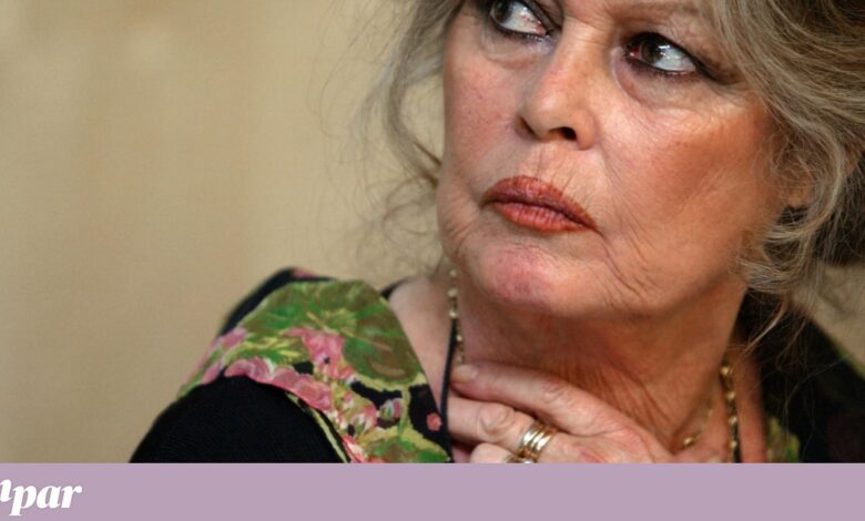 Brigitte Bardot, de 91 anos, está novamente hospitalizada no Sul de França