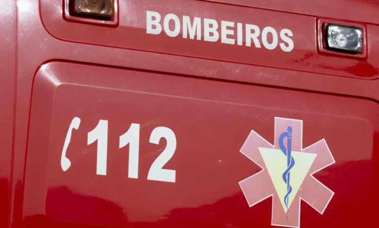 Cavalo morre atropelado na Variante à EN 105 em Santo Tirso 