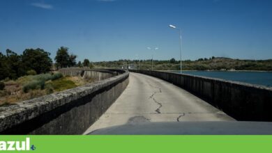 Centenas de peixes mortos na albufeira que abastece concelhos do norte alentejano