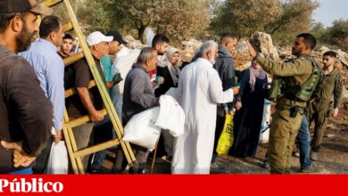 Cisjordânia: colonos e soldados israelitas impedem palestinianos de colher azeitonas