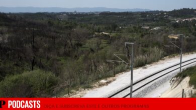 Com 983 dias de atraso nas obras, a “modernização ambiciosa” trouxe mais do mesmo à linha da Beira Alta