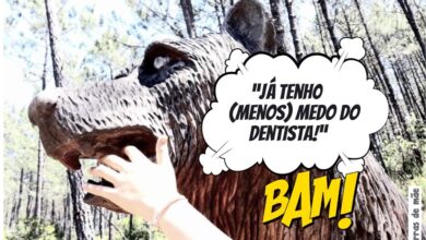 Como educar com conexão e respeito