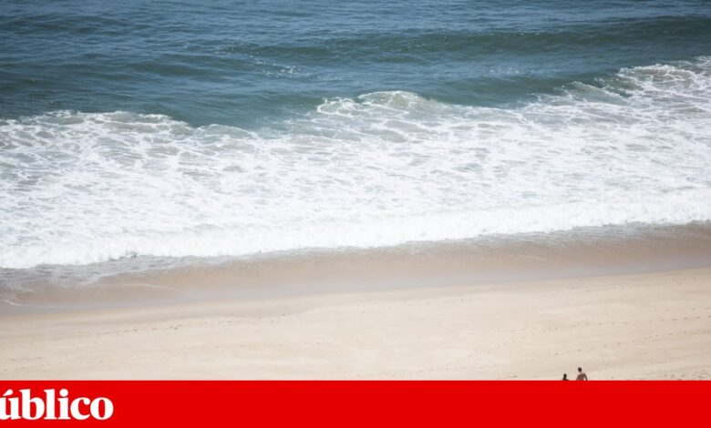 Corpo de mulher em “elevado estado” de decomposição dá à costa na Figueira da Foz