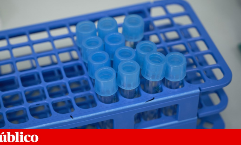 Da Parkinson ao cancro, cinco jovens cientistas recebem Prémio Maria de Sousa