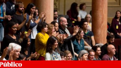 Dez anos depois, 71 crianças foram adoptadas por casais do mesmo sexo