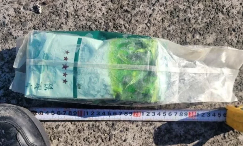 Droga dissimulada em sacos de chá dá à costa em ilha da Coreia do Sul
