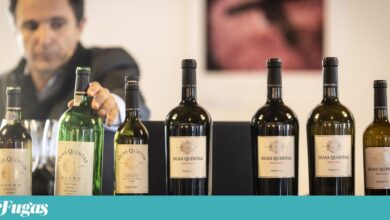 Duas Quintas, a risonha meia-idade de um clássico duriense