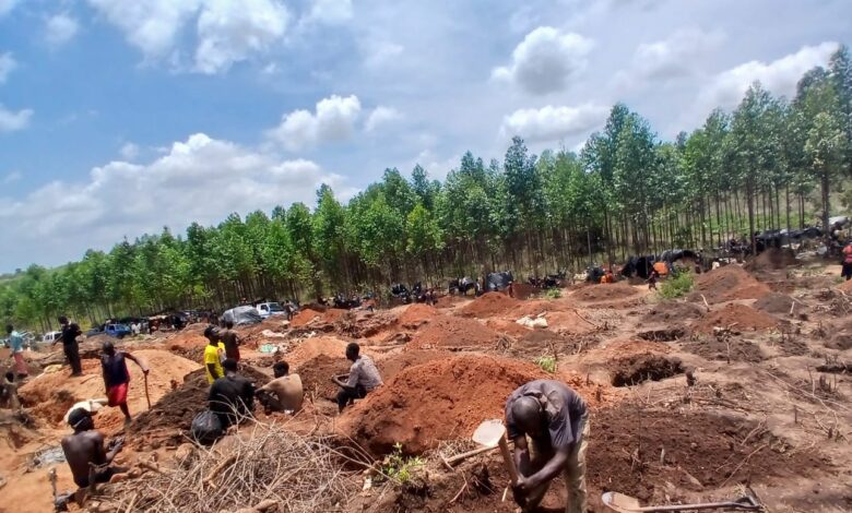 EM MANICA: Garimpeiros continuam a invadir machambas