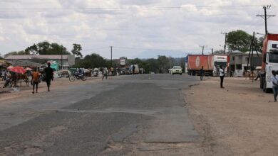 ESTRADA NACIONAL NÚMERO 1: Gorongosa-Caia vai ser reabilitada