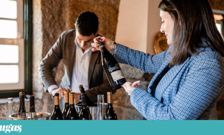Enoturismo já representa 60% a 80% do negócio de alguns produtores de vinho nacionais