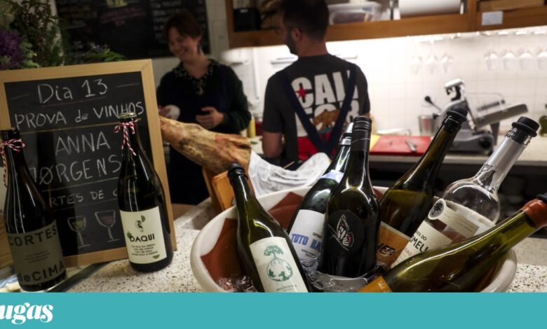Eurodeputados aprovam novas regras para apoiar sector do vinho em crise