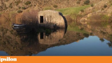 Festivais de cinema associam-se em momento de “certa crise de perda de público”