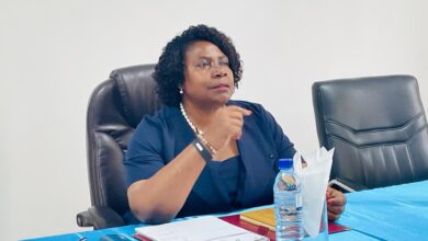 Governadora de Manica exige infra-estruturas resilientes