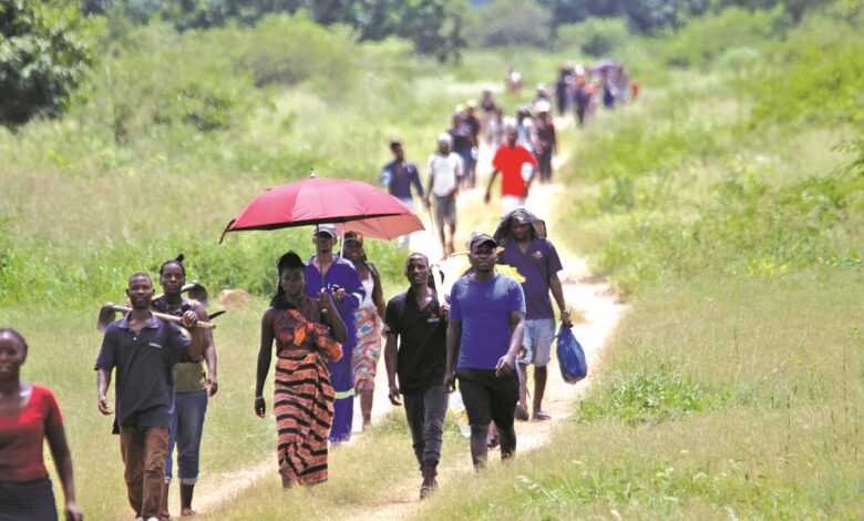 Governo vai disponibilizartrês mil terrenos para jovens