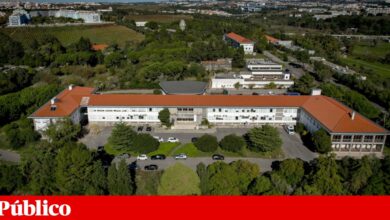 Graças a funcionários, acervo de biblioteca de ciências agrárias foi salvaguardado