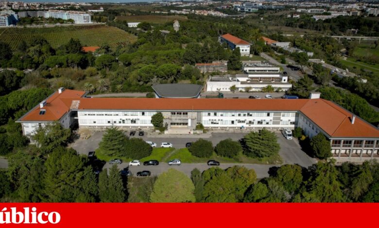 Graças a funcionários, acervo de biblioteca de ciências agrárias foi salvaguardado