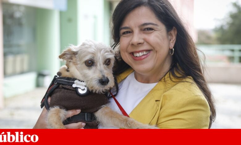 Há demasiada “fragmentação eleitoral”: PAN não apoia qualquer candidato presidencial