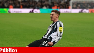 Harvey Barnes, um escocês de momento num inglês de nascimento