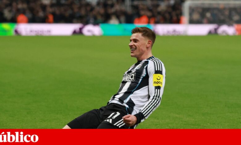 Harvey Barnes, um escocês de momento num inglês de nascimento