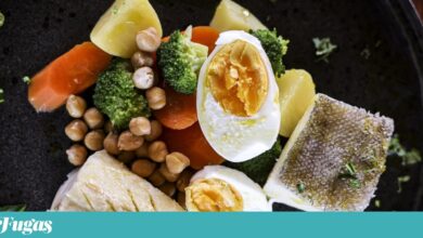 Ílhavo homenageia a gastronomia de bordo e junta-lhe algumas pitadas de inovação