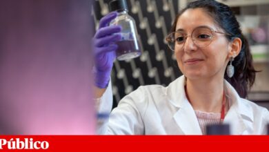 Lígia criou um guia para procurar vida nas nuvens de outros planetas