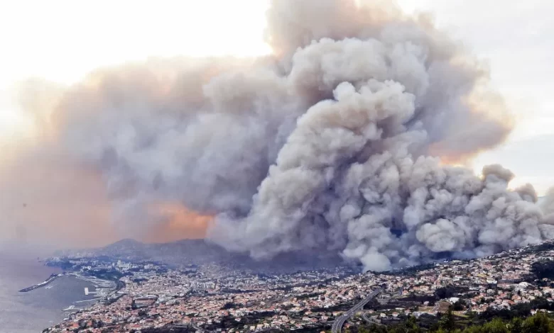 Madeira sinalizou 261 incêndios rurais sem vítimas nem danos em 2025