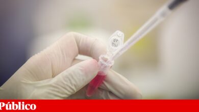 Mais de seis milhões de euros atribuídos a nove investigações biomédicas portuguesas