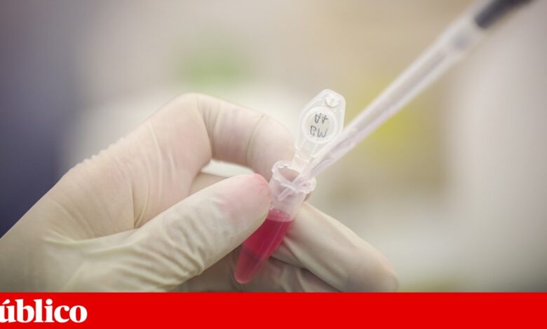 Mais de seis milhões de euros atribuídos a nove investigações biomédicas portuguesas